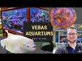 Perth LFS Crawl - Vebas Aquariums