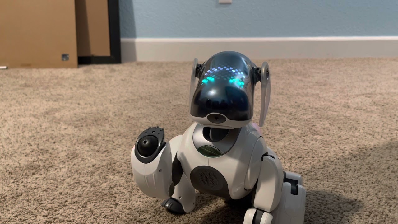 Pierre, the White Sony Aibo ERS-7’s First Boot Up!