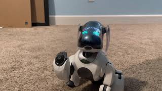 Pierre, the White Sony Aibo ERS7’s First Boot Up!