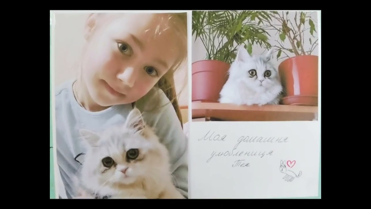 Проєктна діяльність учнів 1-А класу 😍