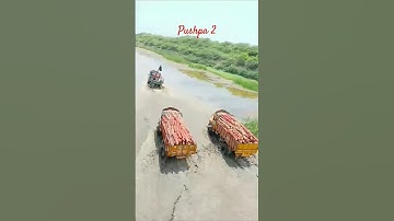 pushpa the rise 2 shouting #alluarjun #pushapa2 #shorts #viralvideos