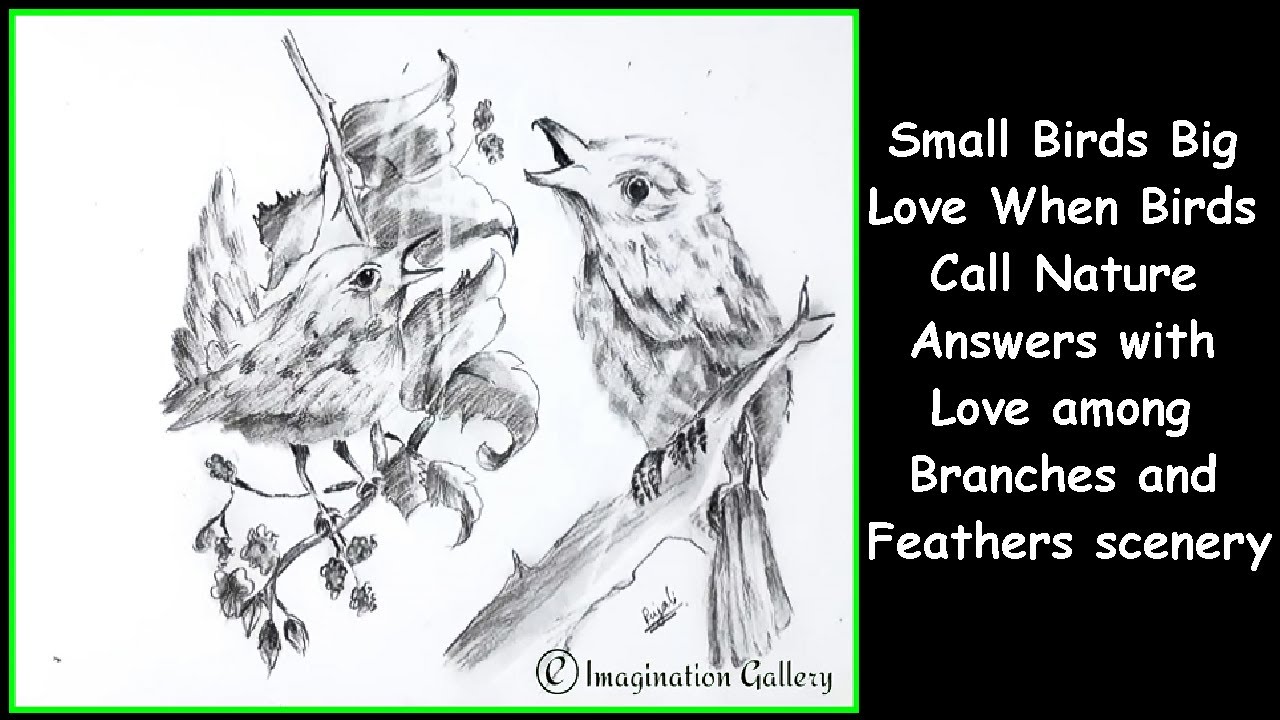 Маленькие птички, большая любовь. Когда птицы зовут, природа отвечает любовью среди ветвей и перьев.