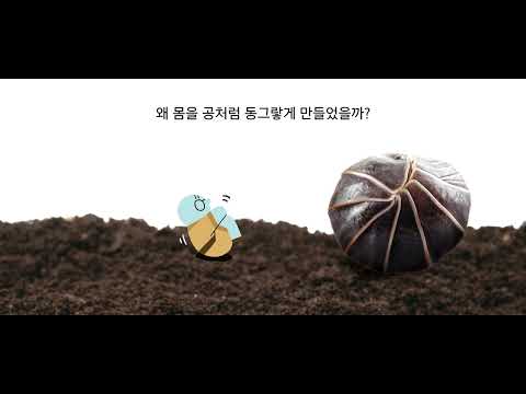 안다과학 4호2단계1주 통합