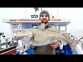 Cod fishing in the bristol channel  charter boat fishing from minehead  the fish locker