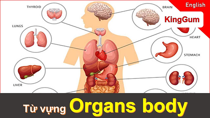 Có ai trong cơ thể có bộ phận nào năm 2024