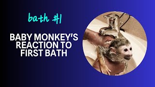 Must-Watch: Baby Monkey's 1st Bath Experience