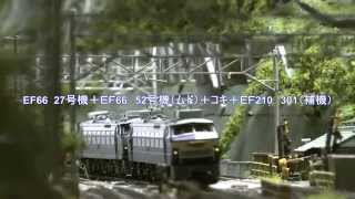 #Nゲージ EF66 27号機 ニーナ(セノハチ風)&信越本線の特急を再現?