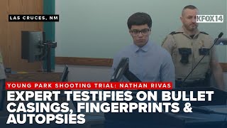 Experts testify on casings, fingerprints and autopsies in Nathan Rivas shooting case