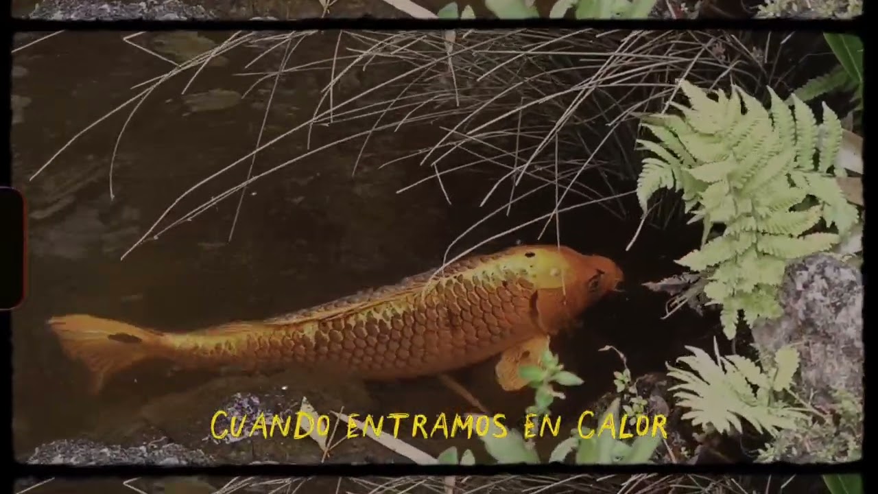 Zyak - Le pido a Dios -(Prod. Loria Rythms)