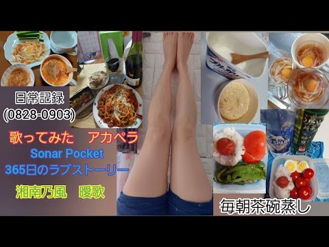 毎朝茶碗蒸し/日常記録(0828-0903)/ダイエット意識した食事報告/歌ってみた/アカペラ/Sonar Pocket　365日のラブストーリー、湘南乃風　曖歌
