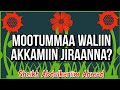 Mootummaa Waliin Akkamiin Jiraanna Gorsa Bareedduu Sheikh Abdulkariim Ahmad Ambuyyee Irraa