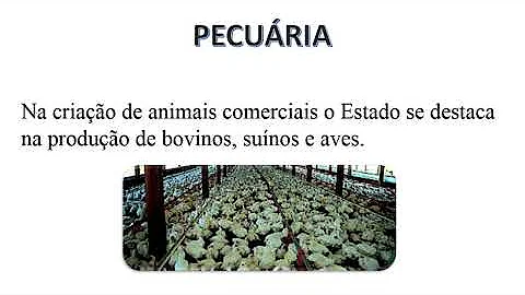 Quais são os setores da economia e suas principais características?
