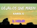 Karol G - Déjalos que miren (1 HOUR LOOP)