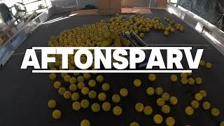 -- Warbots 2026 Champs Robot Reveal: Aftonsparv | FRC Team 9408