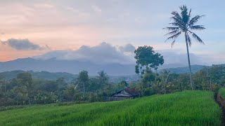 Pemandangan Alam Di Desa | Kampung Indah Malangbong Sejuk Di Pagi Hari | Village Beautiful Indonesia