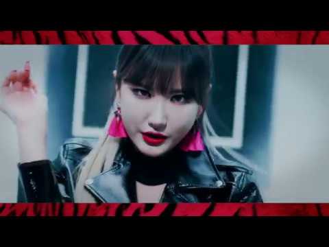 EXID - "DDD X UP AND DOWN" Mashup V2