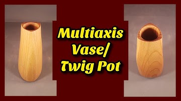 Multiaxis Vase/Twig Pot