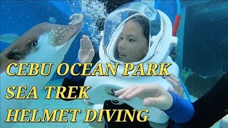 CEBU OCEAN PARK SEA TREK  HELMET DIVING