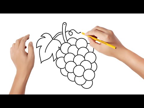 Vídeo: Como Desenhar Uma Videira