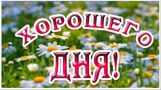 Хорошего Дня и Прекрасного Настроения! Пожелание под Красивую Музыку для Тебя!