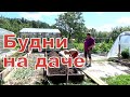 Начинаем убирать урожай//Ремонтируем грядки//Достраиваем городок.