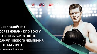#Final Всероссийские соревнования по боксу на призы 2-х кратного Олимпийского чемпиона Б.Н. Лагутина