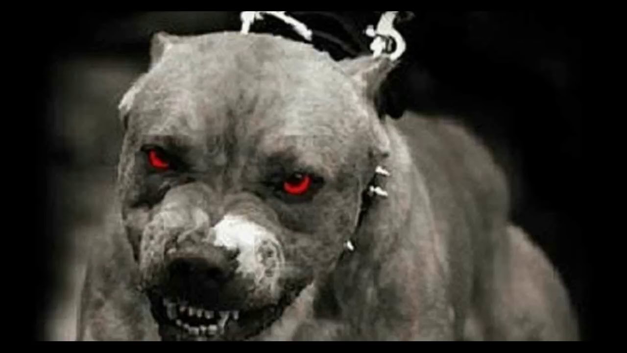 2Pac ft Tech N9ne Freddie Gibbs  Young Buck   Remix Slayers Remix 2018