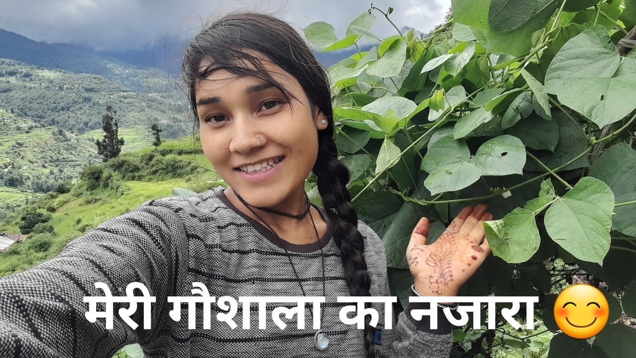 मेरी गौशाला का नजारा 😊