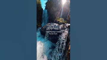 #قرآن_كريم #تلاوة_خاشعة #أذكار #سعد_الغامدي #islam #quran