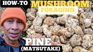 Mushroom Foraging| PINE|*Halloween Harvest* PT.2