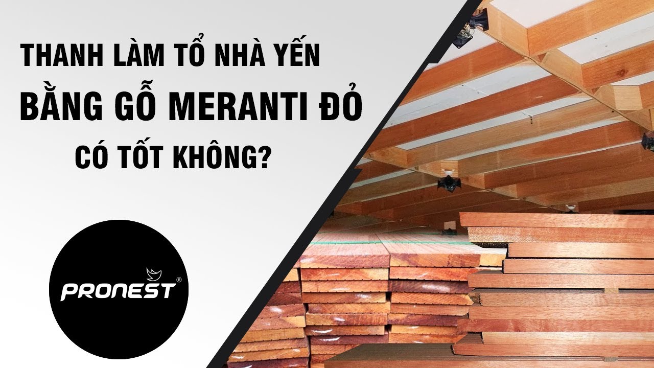 Thanh Làm Tổ Nhà Yến Bằng Gỗ Meranti Đỏ Có Tốt Không? - YouTube