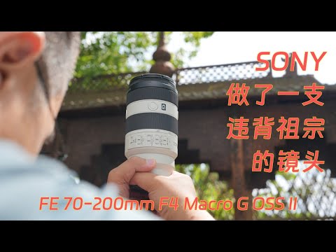 SONY做了一支违背祖宗的镜头 70-200mm F4 二代 | x2增距镜 对比Tamron 50-400mm Sigma Art 105mm上手使用体验