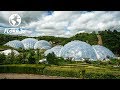 They Built A Rainforest Ecosystem Inside A Geodesic Dome