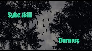 Syke dali-Durmus (Turkmen rap 2019) manyly setirler