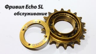 Собираем  фривил Echo SL