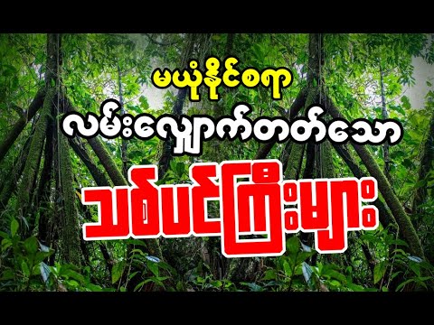 လမ်းလျှောက်တတ်သော သစ်ပင်ကြီးများ