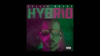 Collie Buddz - Fall 2019 Hybrid Tour Promo Video