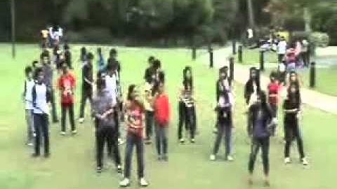 University Of Cebu   Call Me Maybe Music Video