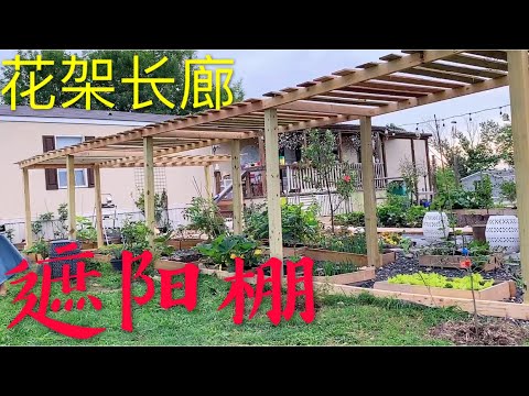 爬藤架丨夏天太热了植物需要遮阴 做个遮阳棚吧 集走廊 花架 遮阳于一体丨walking Path Flower Arbor Shades For Your Garden Youtube