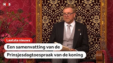 Koning in Troonrede over polarisatie, de economie en Gaza