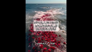 سورة النساء ٦٢ #قرآن #قرآن_كريم #قران #قران_كريم #قرأن #quran