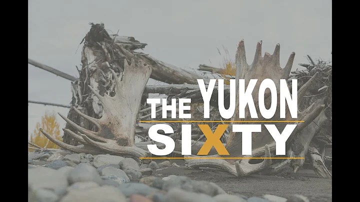 Moose Hunting In The Yukon 2014