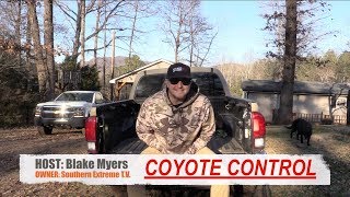 Coyote Hunting Tip #19  How To Hunt Coyotes In Woods