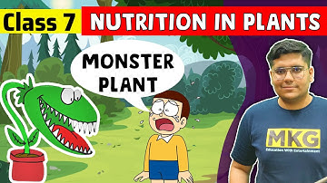 Nutrition in Plants | Class 7 Science | class 7 science chapter 1 | Nutrition in Plants Full Chapter