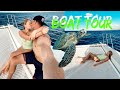 Hawaii Boat Tour *Finding Turtles*