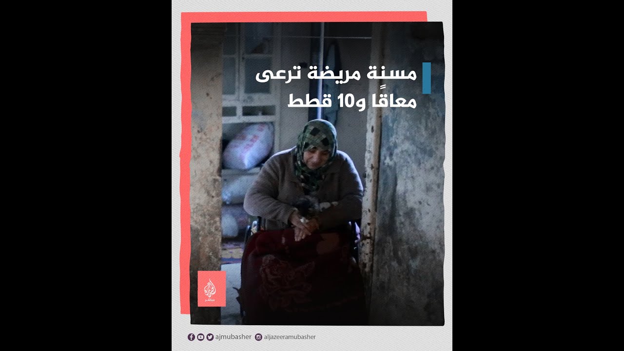 على كرسي متحرك.. أم سورية ترعى ابنها المقعد وقططها العشرة