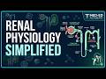 Glomerular Filtration Barrier Full Concepts From Basic [Hindi] | Physiology | USMLE Step 1