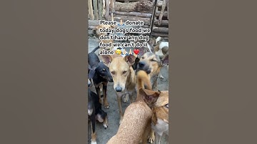 Please donate today link in the bio#dogfood#donatetoday#share