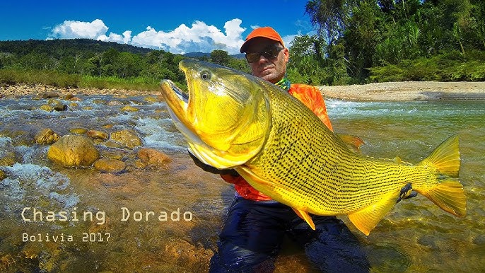 The RIO DORADO - Fly Fishing the Argentina BACKCOUNTRY- by Todd