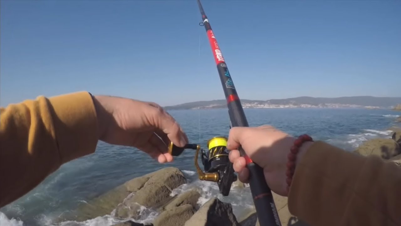 Cómo PESCAR SARGOS a BOYA con MAR SUAVE (Montaje y consejos)